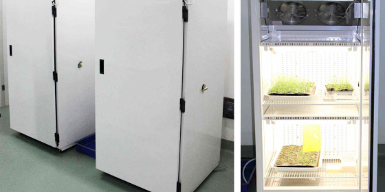 陶瓷皮帶清掃器